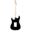 Fender Eric Clapton Stratocaster, Maple Fingerboard, Black