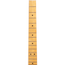 Fender Vintera II ‘70s Telecaster Deluxe Electric Guitar, Maple Fingerboard, Surf Green