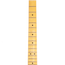Fender Limited Edition American Professional II Telecaster Thinline, White Blonde