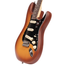Fender American Performer Stratocaster Electric Guitar, Spruce, Honey Burst