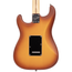 Fender American Performer Stratocaster Electric Guitar, Spruce, Honey Burst