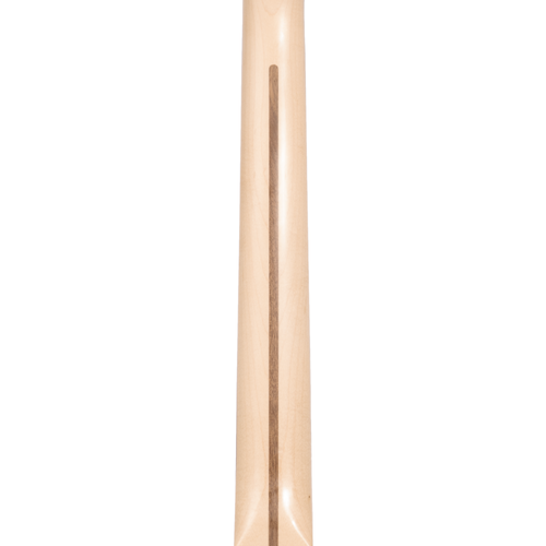 Fender American Performer Telecaster Electric Guitar, Pine, 2-color Sunburst