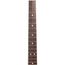 Fender American Performer Telecaster Electric Guitar, Pine, 2-color Sunburst