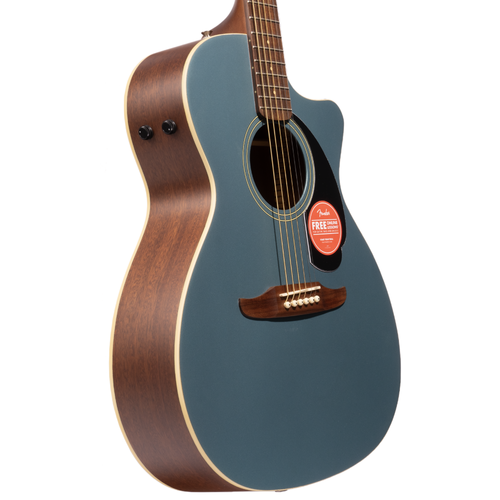Fender player newporter deals