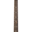 Fender American Acoustasonic Jazzmaster Acoustic Guitar All-Mahogany, Ebony, Bourbon Burst
