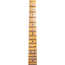 Fender Custom Shop '50s Double Esquire, Heavy Relic, Aged Black