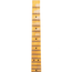 Fender Custom Shop '51 HS Telecaster, Heavy Relic, Aged Butterscotch Blonde