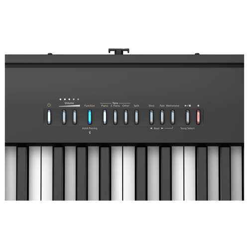 Roland FP-10 88-Key Digital Piano w/ Speakers, Black