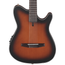 Ibanez FRH10NBSF Nylon Acoustic-Electric Guitar, Brown Sunburst Flat