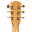 Gibson Songwriter Standard EC Acoustic Guitar, Rosewood, Rosewood Burst