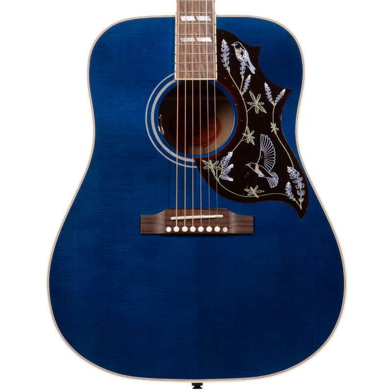 Blue bird acoustic guitar deals
