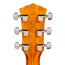 Taylor Gold Label 712e Grand Concert Acoustic-Electric Guitar, Sitka Spruce/Rosewood