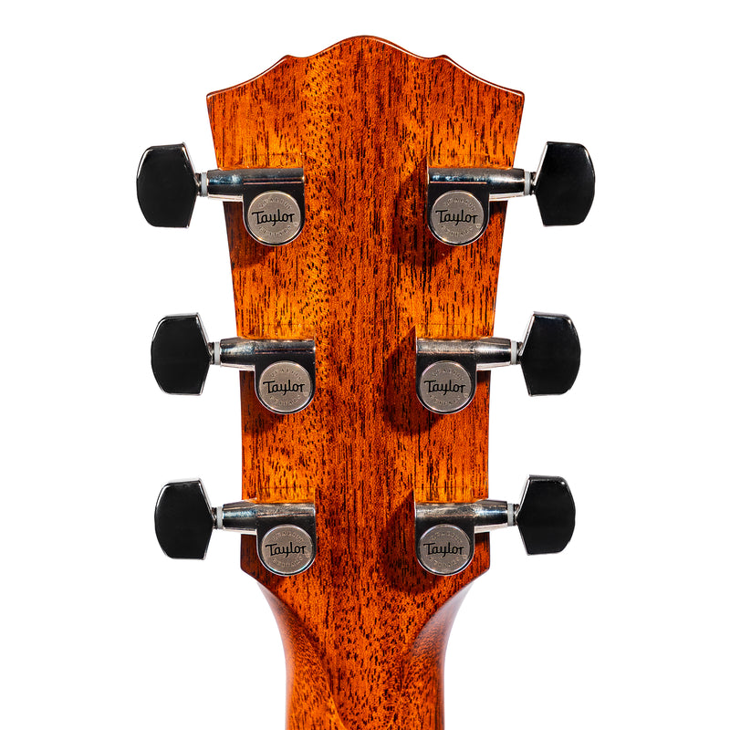 Taylor Gold Label 717e Grand Pacific Acoustic-Electric Guitar, Sitka Spruce/Indian Rosewood