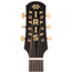 Iris Guitar Company AB Model Acoustic Guitar, Iced Tea Burst