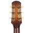 Iris Guitar Company AB Model Acoustic Guitar, Iced Tea Burst