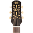 Iris Guitar Company AB Acoustic Guitar, Big Leaf Maple Back & Sides, Natural