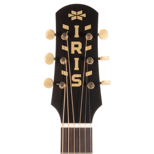 Iris Guitar Company DF Model Acoustic Guitar, Adirondack Spruce Top, Burst