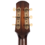 Iris Guitar Company DF Model Acoustic Guitar, Adirondack Spruce Top, Burst