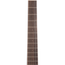 Iris Guitar Company DF Model Acoustic Guitar, Adirondack Spruce Top, Burst