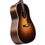 Iris Guitar Company DF Acoustic Guitar, Adirondack Spruce Top, Burst