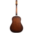 Iris Guitar Company DF Acoustic Guitar, Adirondack Spruce Top, Burst