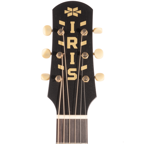 Iris Guitar Company DF Acoustic Guitar, Adirondack Spruce Top, Burst