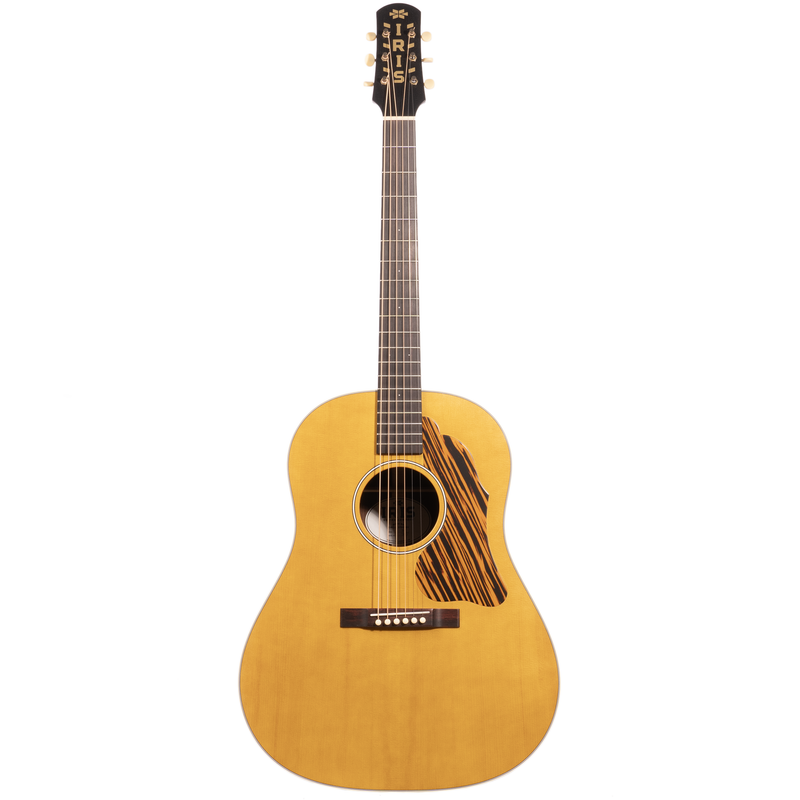 Iris Guitar Company DF Acoustic Guitar, Adirondack Spruce Top, Natural