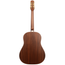 Iris Guitar Company DF Acoustic Guitar, Adirondack Spruce Top, Natural