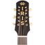 Iris Guitar Company DF Acoustic Guitar, Adirondack Spruce Top, Natural