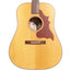 Iris Guitar Company D-WH Square Shoulder Dreadnought Acoustic Guitar, Adirondack Spruce/Mahogany