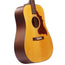 Iris Guitar Company D-WH Square Shoulder Dreadnought Acoustic Guitar, Adirondack Spruce/Mahogany