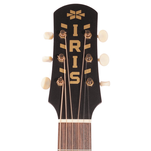 Iris Guitar Company D-WH Square Shoulder Dreadnought Acoustic Guitar, Adirondack Spruce/Mahogany