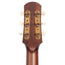 Iris Guitar Company D-WH Square Shoulder Dreadnought Acoustic Guitar, Adirondack Spruce/Mahogany