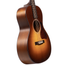Iris Guitar Company MS-00 12-Fret Acoustic Guitar, Slotted Headstock, Iced Tea Burst