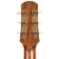 Iris Guitar Company ND-200, European Spruce Top, Rosewood Back/Sides, Burst