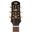 Iris Guitar Company OG Acoustic Guitar, w/ White Binding and Firestripe Pickguard, Burst
