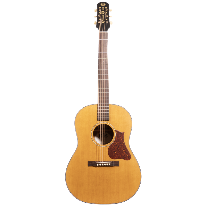 Iris Guitar Company OG Acoustic Guitar with Tortoise Binding and Pickguard, Natural
