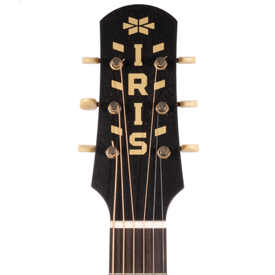 Iris Guitar Company SG-11 Acoustic Guitar w/ Ivoroid Tuxedo Binding/Pickguard, All Black