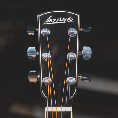 2010 Larrivee D-10 Acoustic-Electric Guitar, Madagascar Rosewood w/OHSC - Used