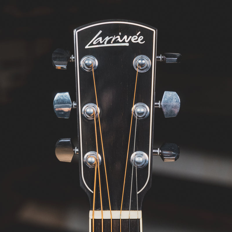 2010 Larrivee D-10 Acoustic-Electric Guitar, Madagascar Rosewood w/OHSC - Used