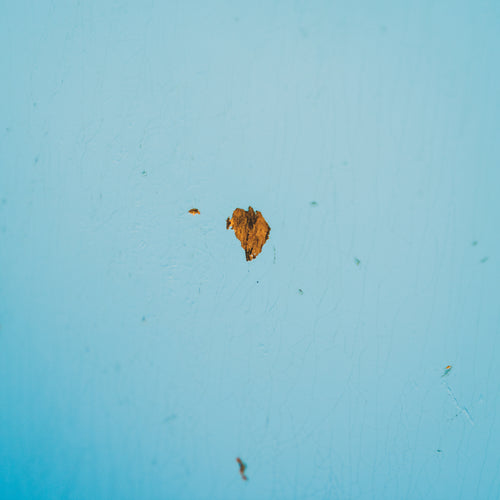 2016 Fender Custom Shop 1960 Esquire Electric Guitar, Relic Daphne Blue w/ OHSC – Used