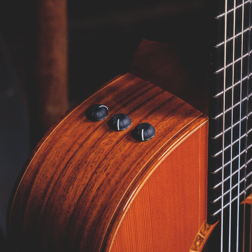 Taylor ns74ce shop