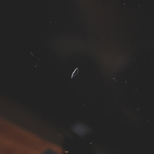 2022 Fender Limited Edition HSS Stratocaster Electric Guitar, Black w/HSC