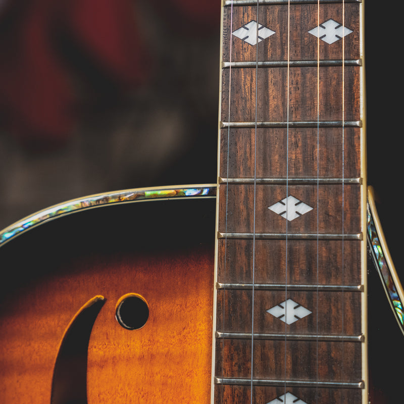 2005 Gold Tone Dojo DLX w/ OHSC - Used