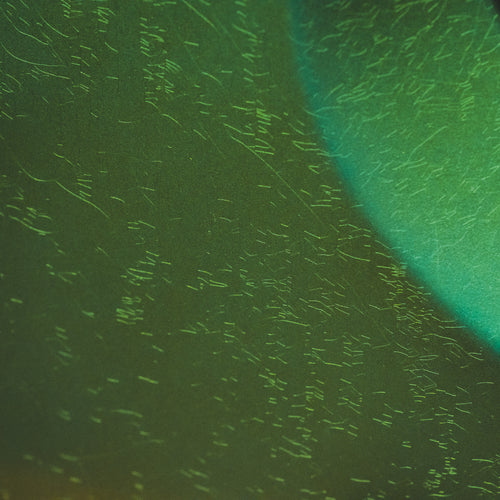 2022 Masterbuilt Paul Waller Jaguar, Aged Sherwood Green Metallic w/OHSC - Used