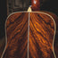 2023 Martin Custom Shop HD-28, Wild Grain East Indian Rosewood, Natural w/OHSC - Used