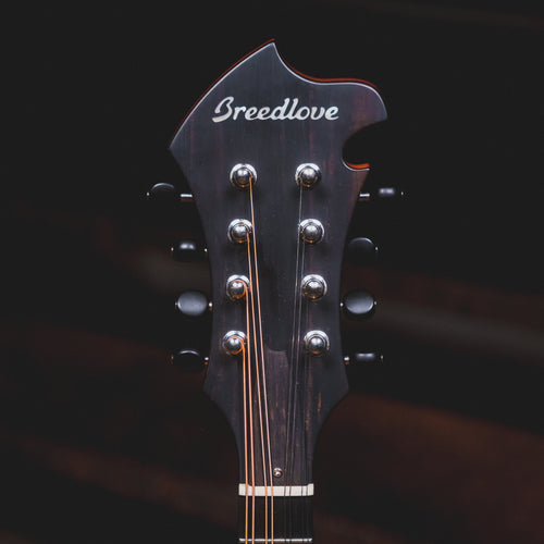 2023 Breedlove Premier FF Mandolin w/ OHSC - Used