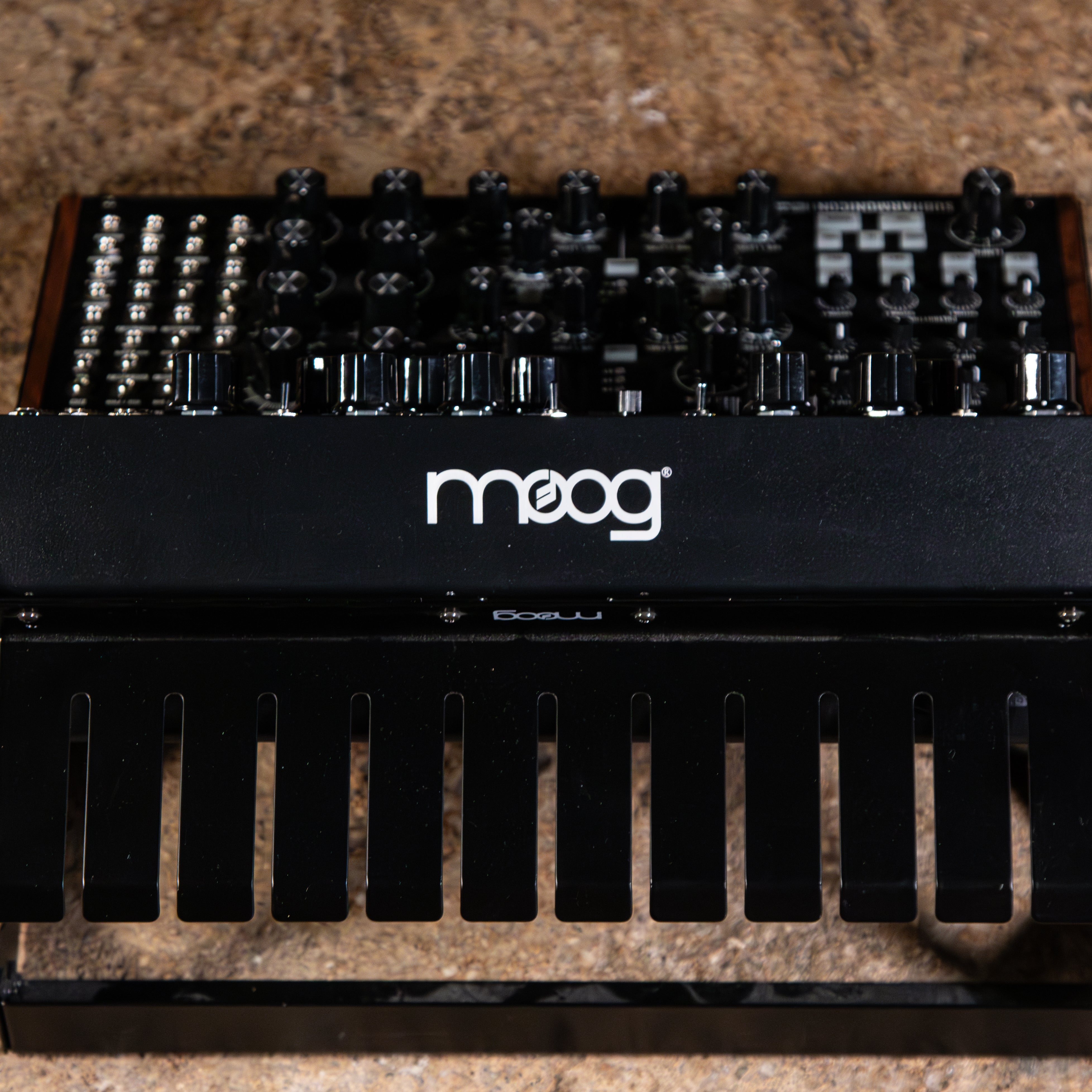 Moog DFAM + Subharmonicon w/2-Tier Rack - Used – Russo Music