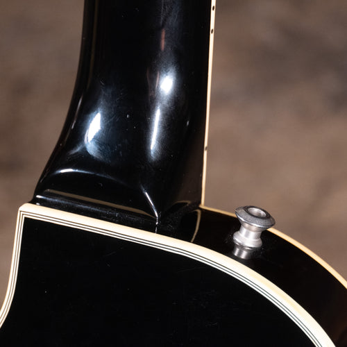 Burny RLC-70 Electric Guitar, Ebony - Used