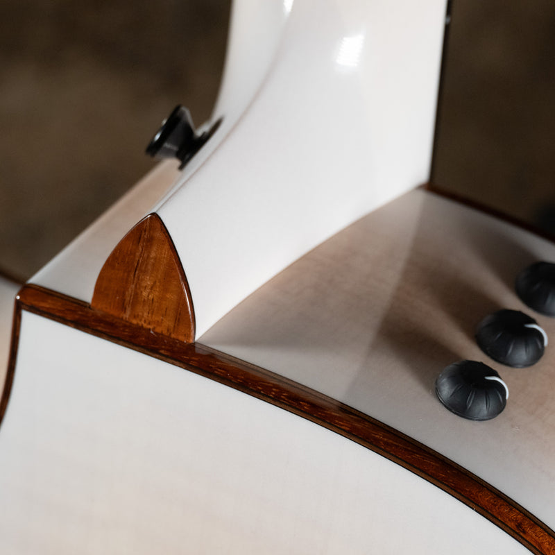 2023 Taylor C14ce Custom Lutz Acoustic Guitar, Lutz Spruce Top, White Pearl Burst w/OHSC - Used